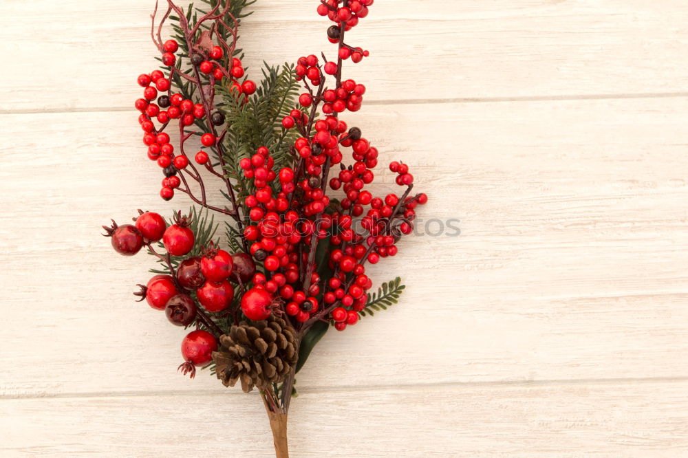 Similar – Image, Stock Photo Delicate Christmas wreath of pine cones on wooden background