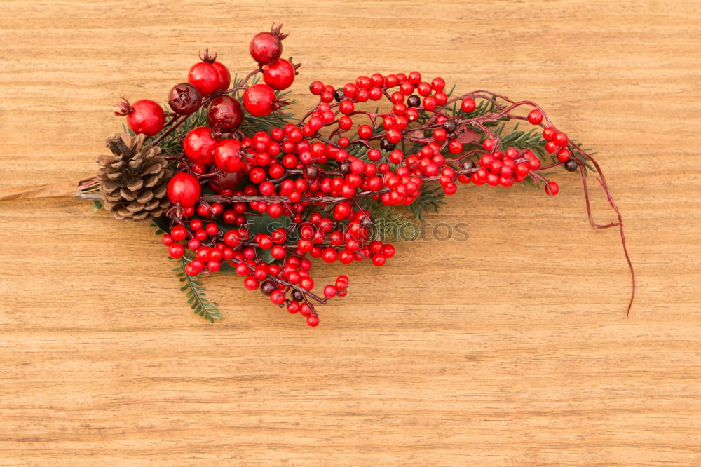 Similar – Image, Stock Photo Delicate Christmas wreath of pine cones on wooden background