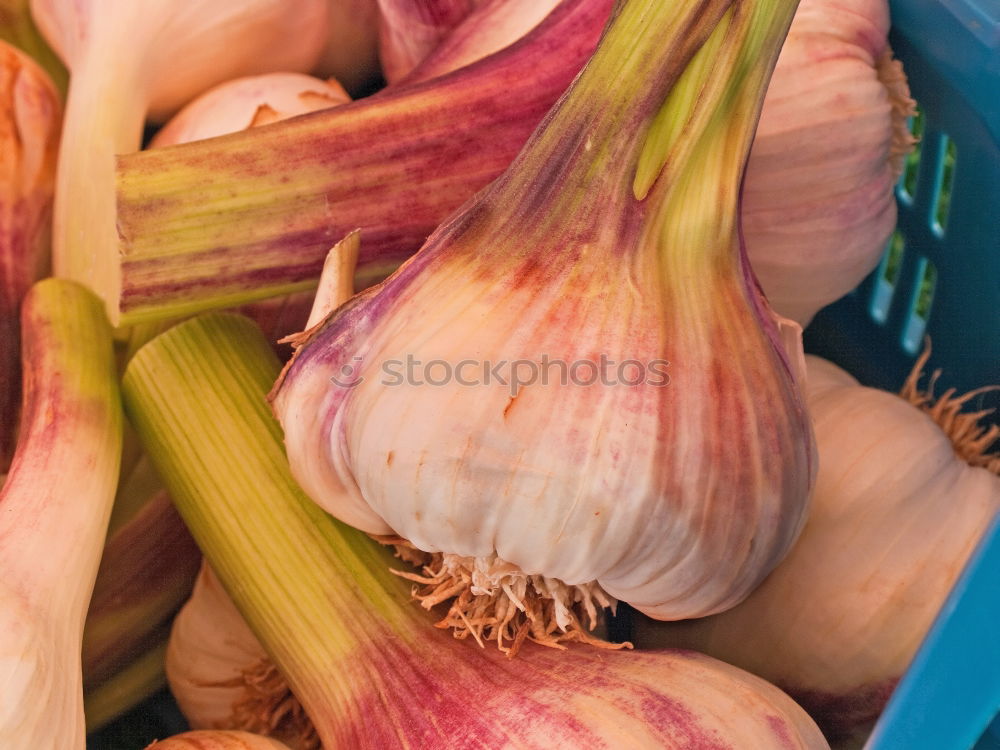 Similar – Image, Stock Photo rhubarb Rhubarb Red