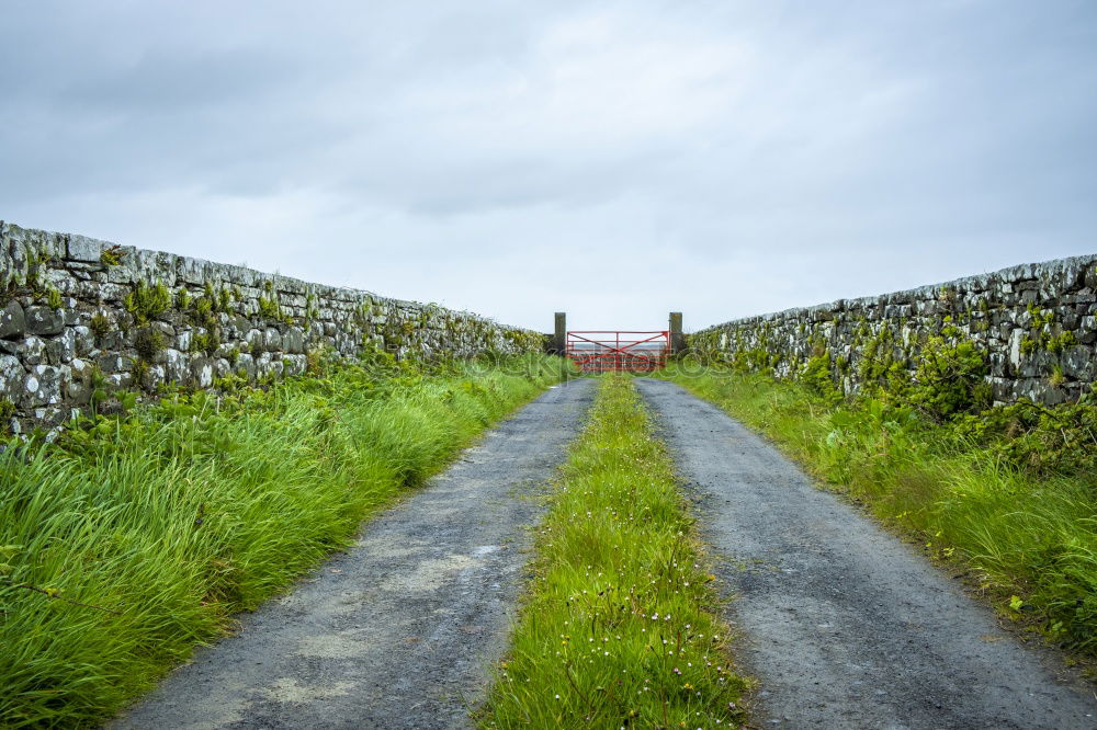 Similar – Foto Bild feldweg wandern Erholung