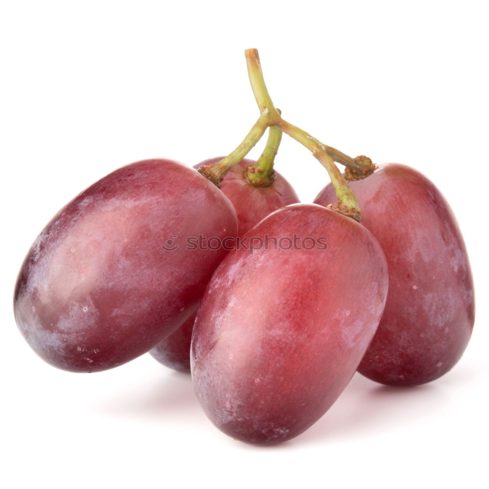 Similar – Image, Stock Photo Grapes bunch