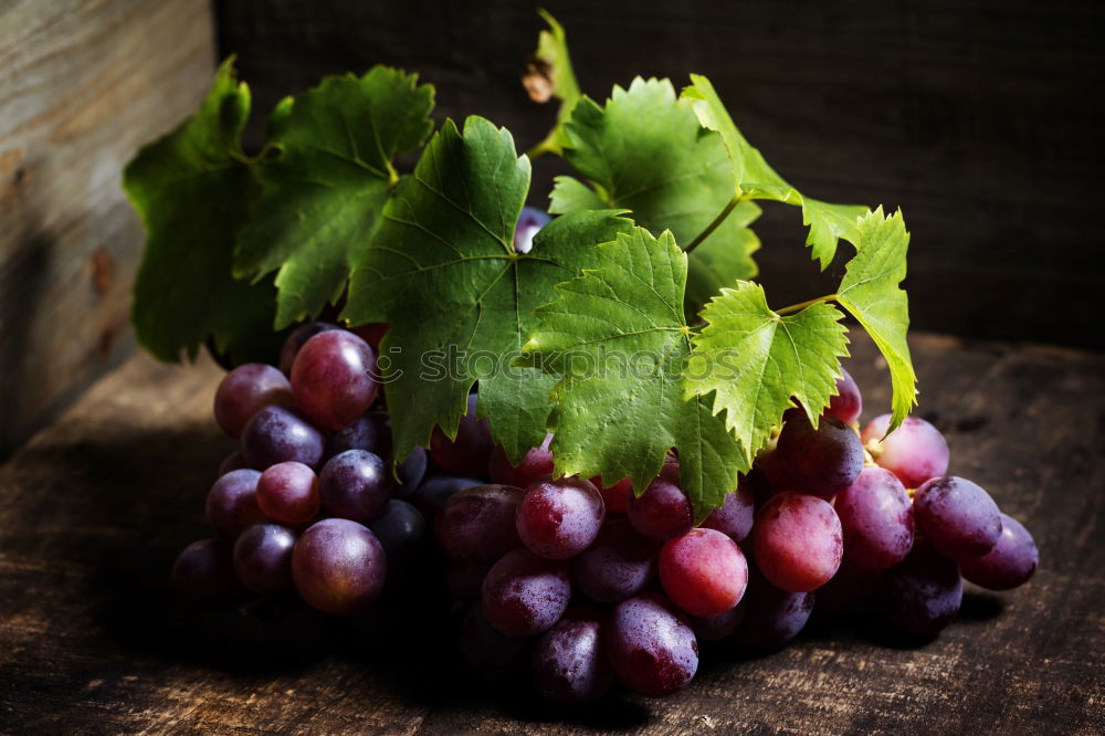 Similar – Image, Stock Photo harvest grapes Food Fruit