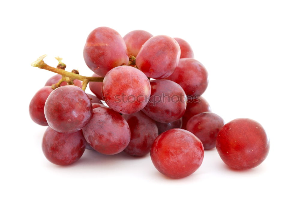 Similar – Image, Stock Photo Grapes bunch