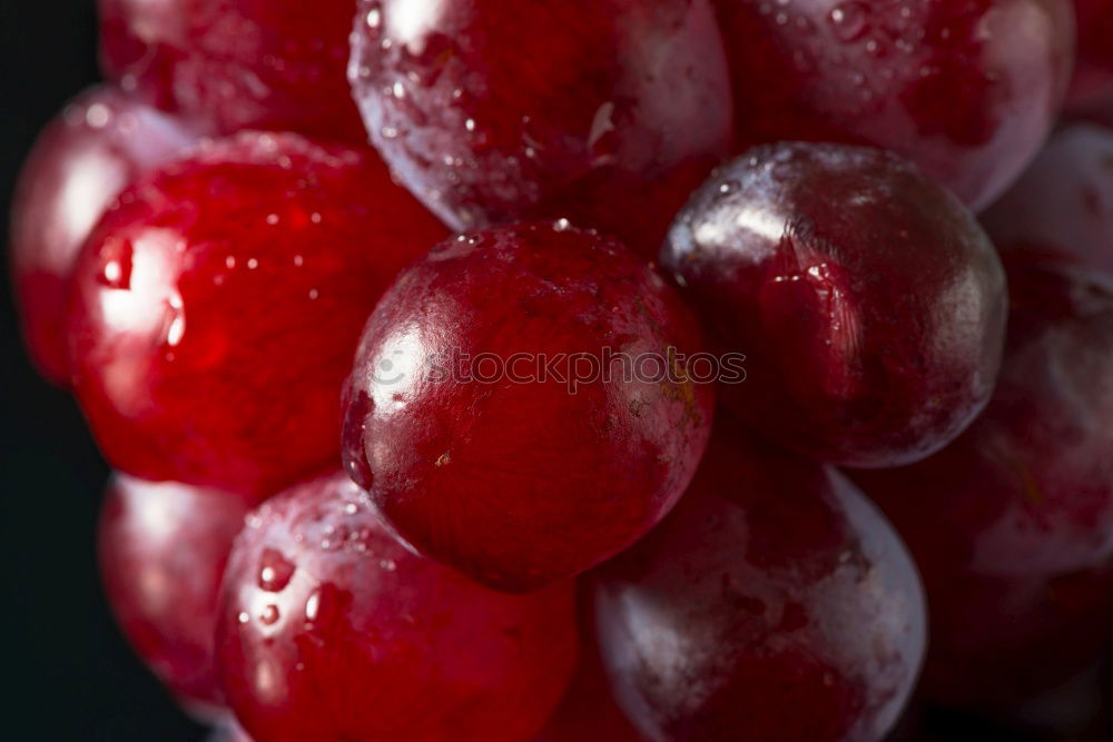 Similar – Image, Stock Photo Frozen cherries Food Fruit