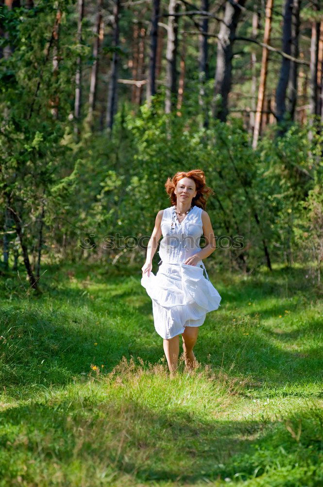 Similar – Image, Stock Photo Flowers in the wood