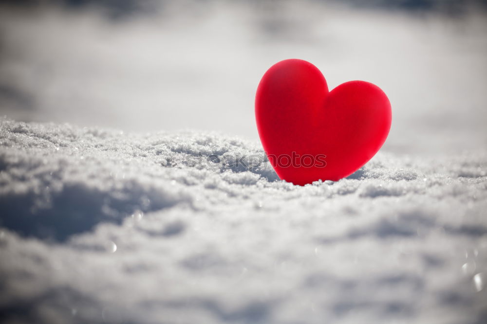 Similar – Image, Stock Photo Hands in gloves and white heart