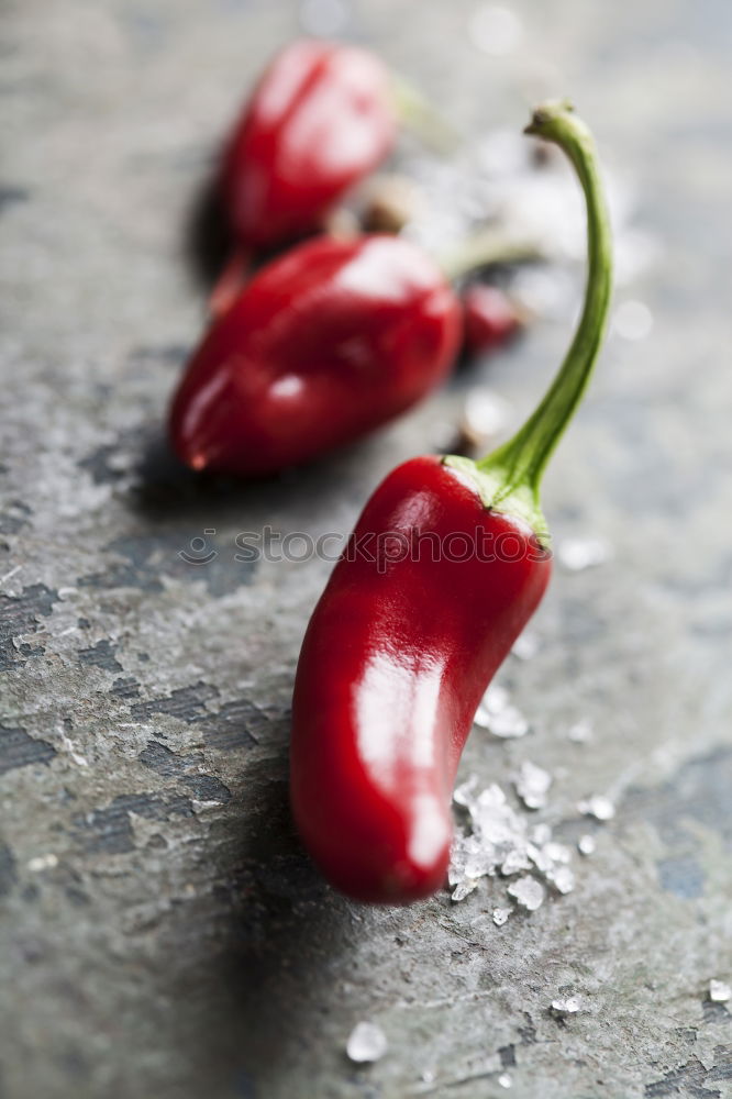 Similar – Rosemary, chopped chili and salt, wood background