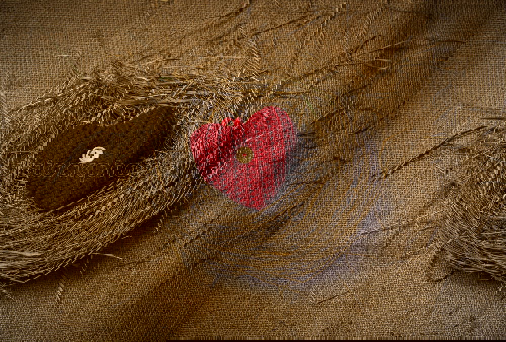 Similar – Image, Stock Photo AKDR# Take a heart