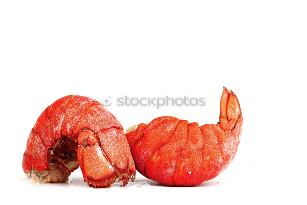 Similar – Image, Stock Photo Paaaarrrrrprika Food