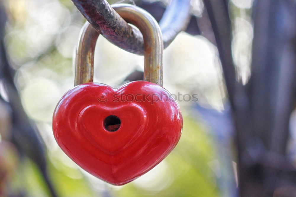 Similar – Image, Stock Photo rotesschlossmitherzang lattice wall