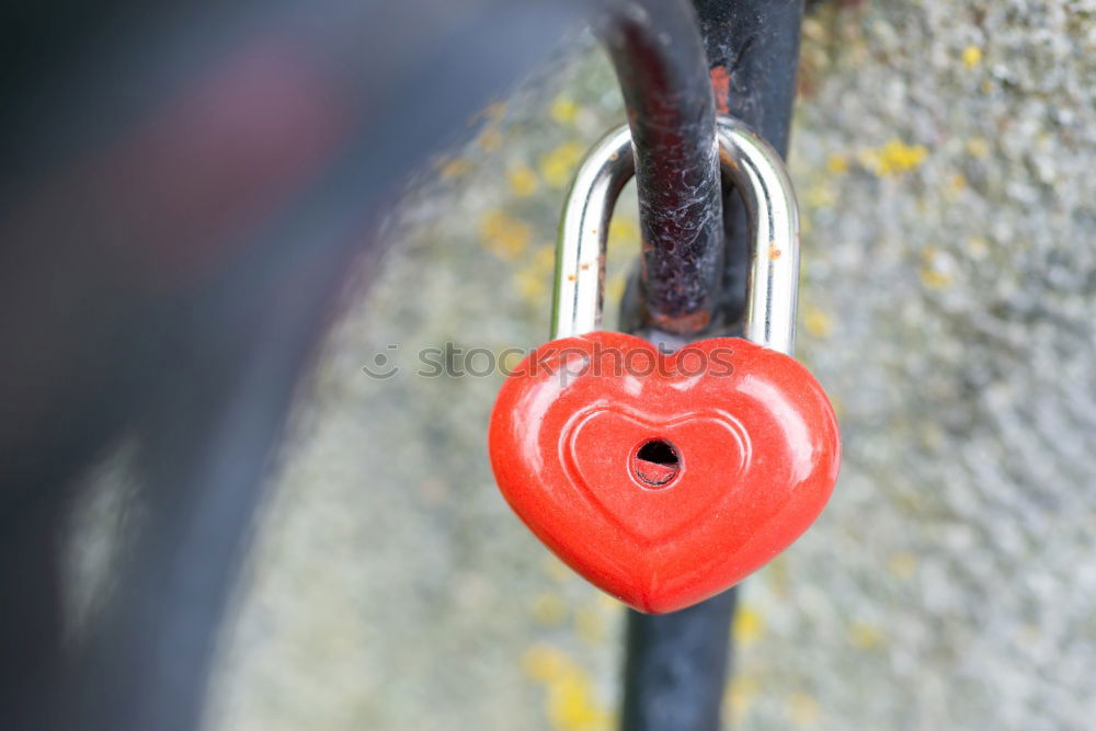 Similar – Image, Stock Photo rotesschlossmitherzang lattice wall