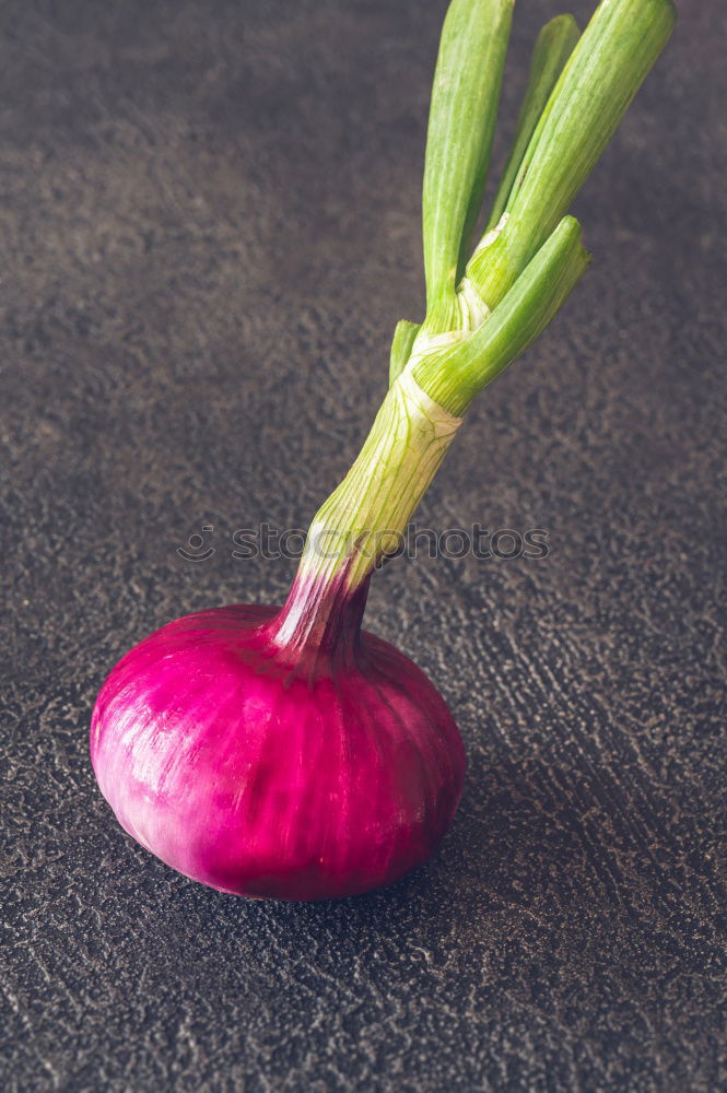 Similar – Image, Stock Photo Asian aubergines on dark wood