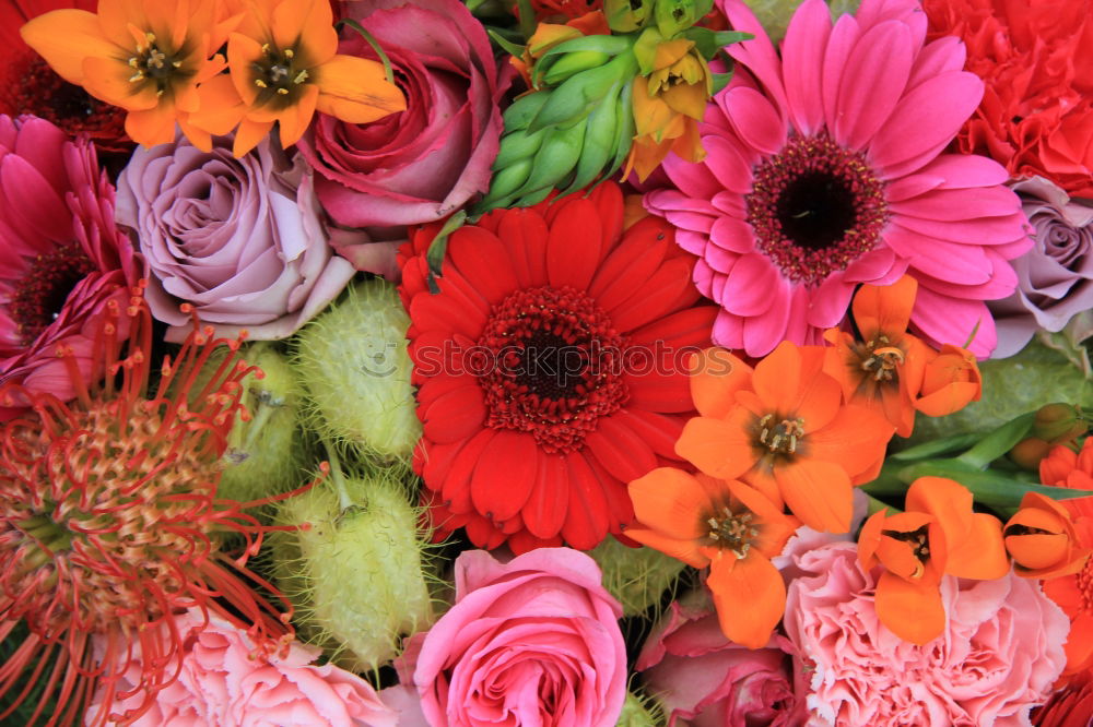 Similar – Image, Stock Photo Bouquet on red background