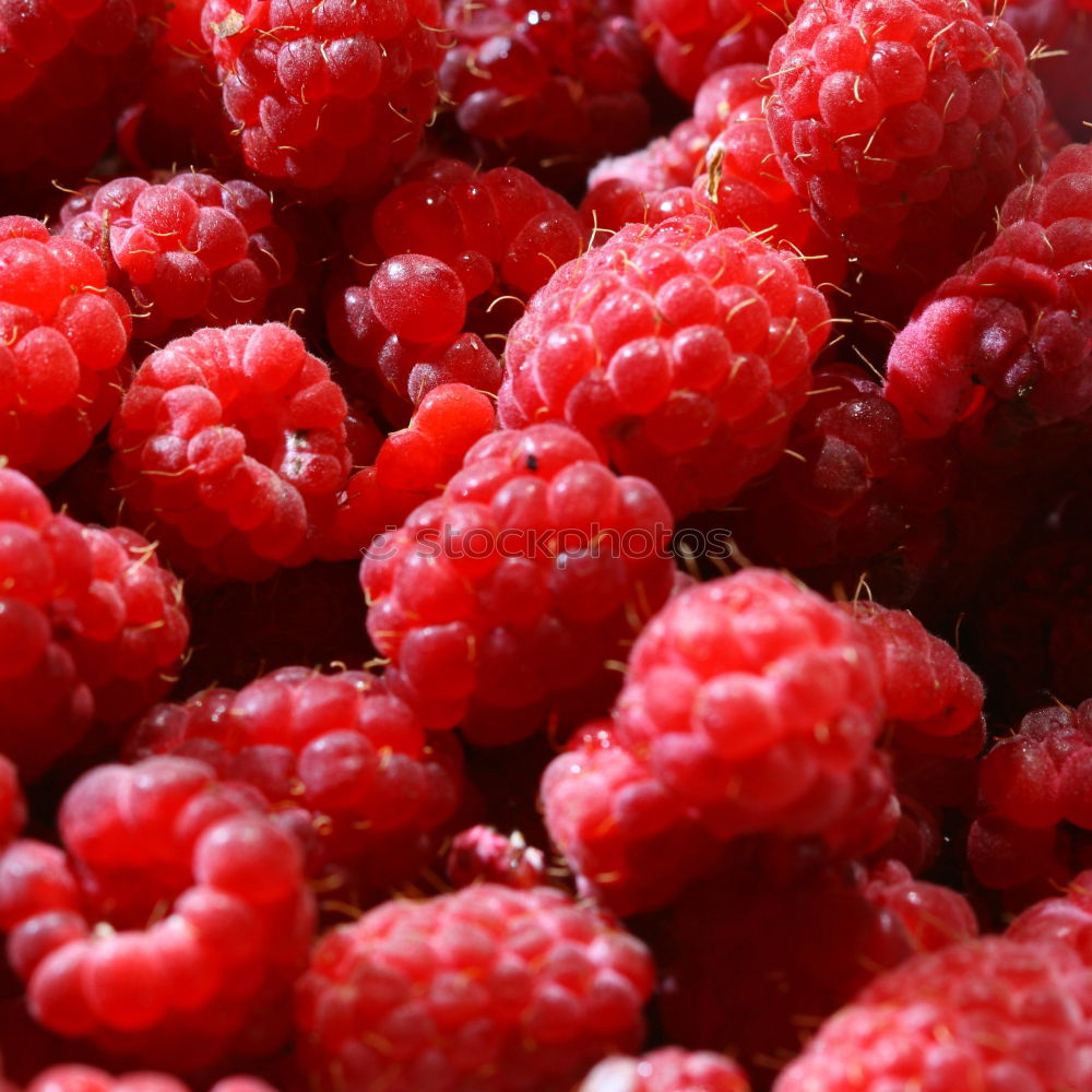 Himbeeren Lebensmittel