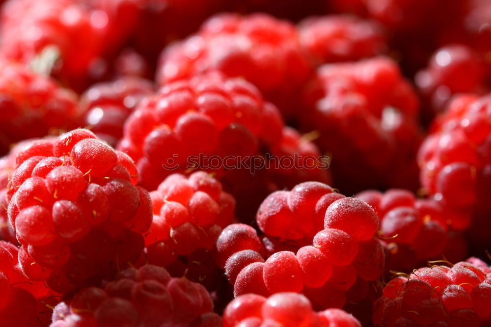 Similar – wild berries Food Fruit