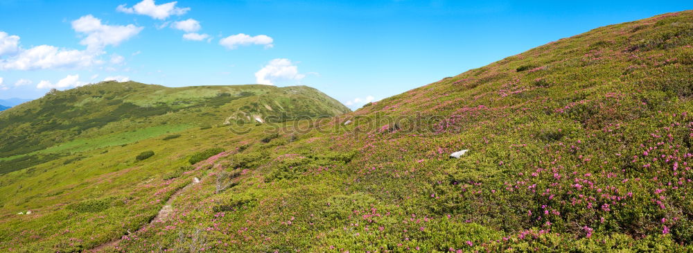 Similar – Image, Stock Photo Hilly landscape in Wales