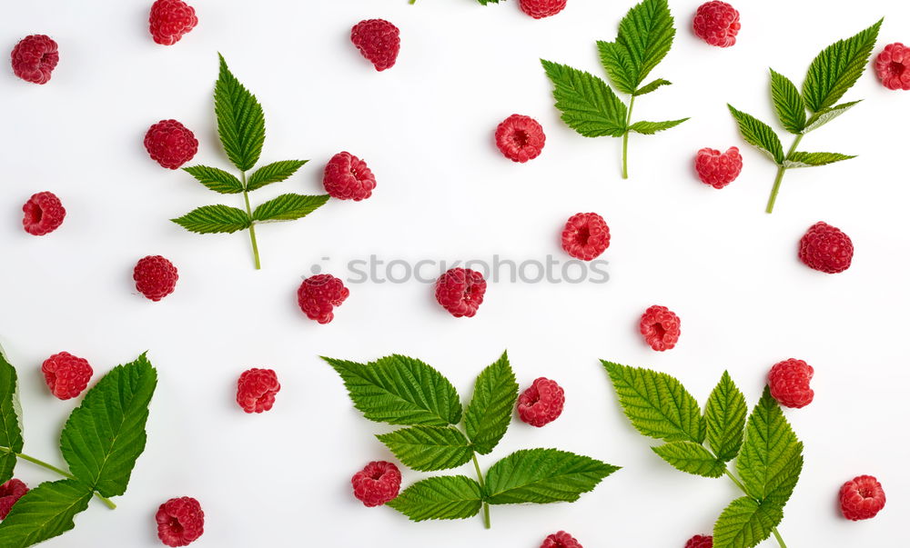 Similar – Image, Stock Photo Beautiful red tulips on light background