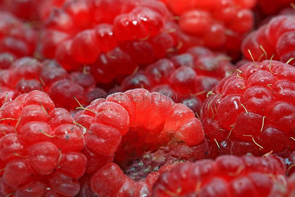 Similar – Image, Stock Photo raspberries Food Fruit