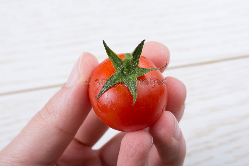 Similar – Image, Stock Photo Tomato child III Food