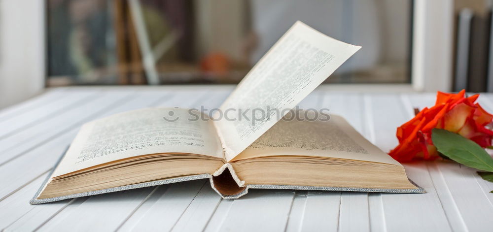 Similar – Image, Stock Photo Fallada Print media Book