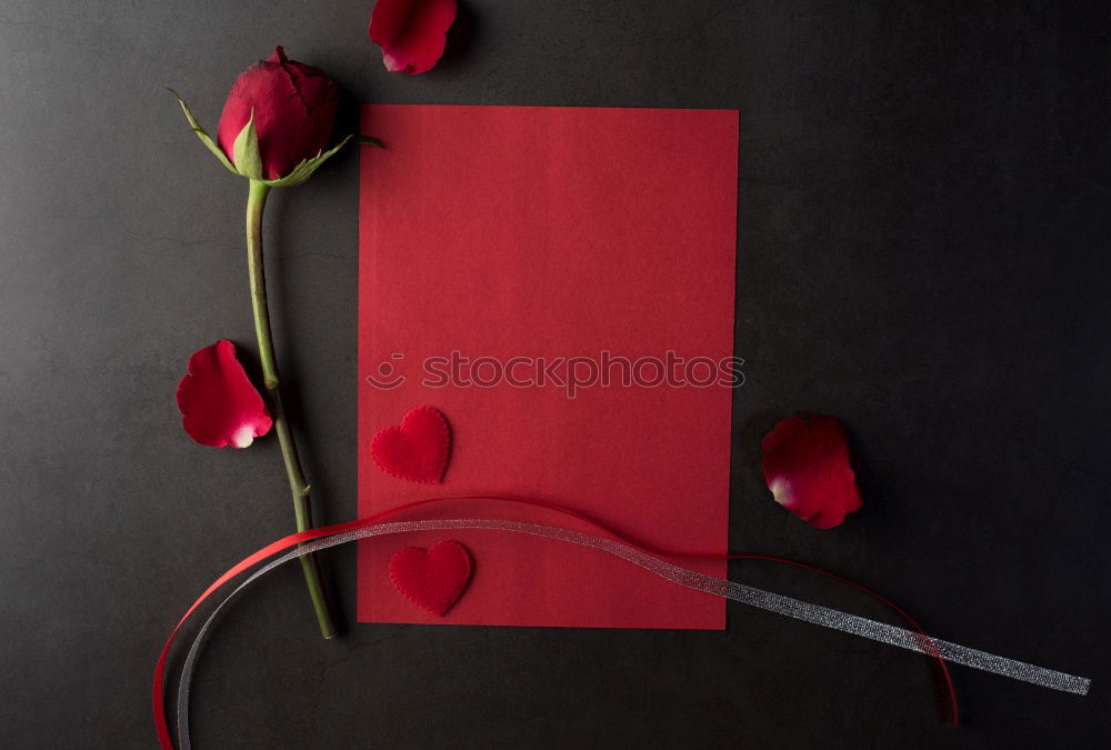 Similar – Image, Stock Photo A bouquet of red tulips