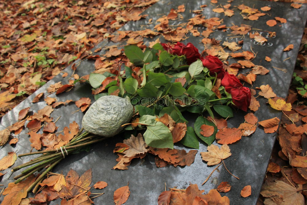 Similar – Image, Stock Photo Mourning at the Brandenburg Gate