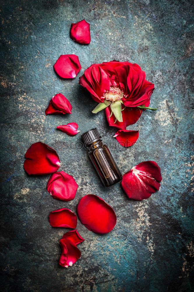 Similar – Image, Stock Photo Rose oil. Essential oil with rose petals