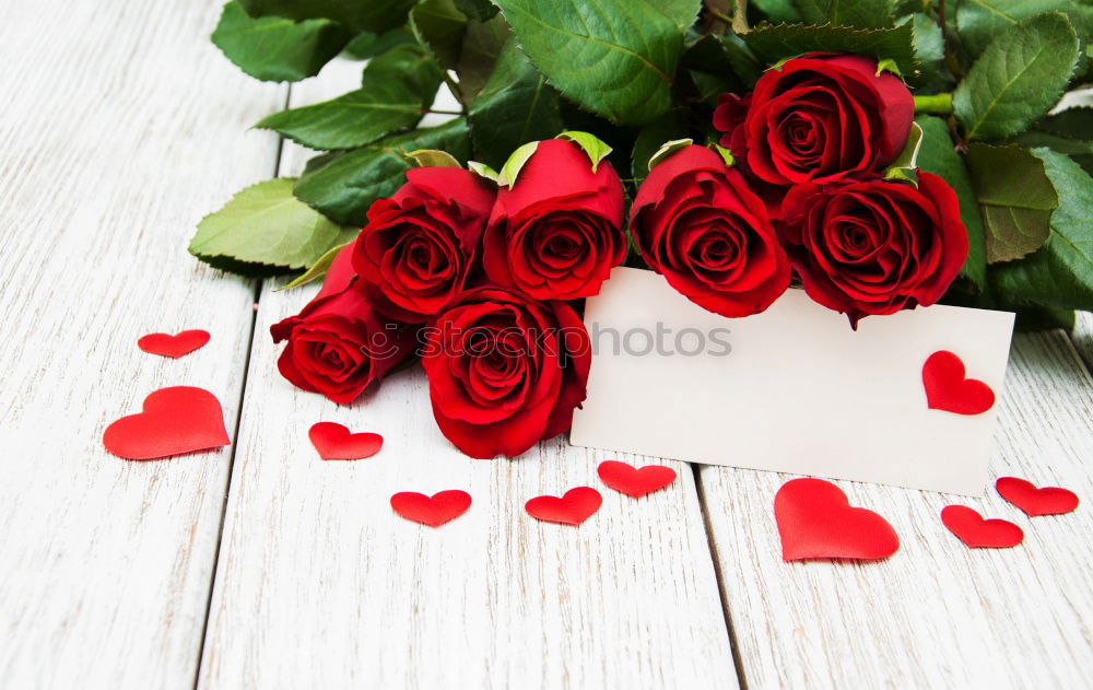 Similar – Image, Stock Photo Pink tulips and white cup with heart