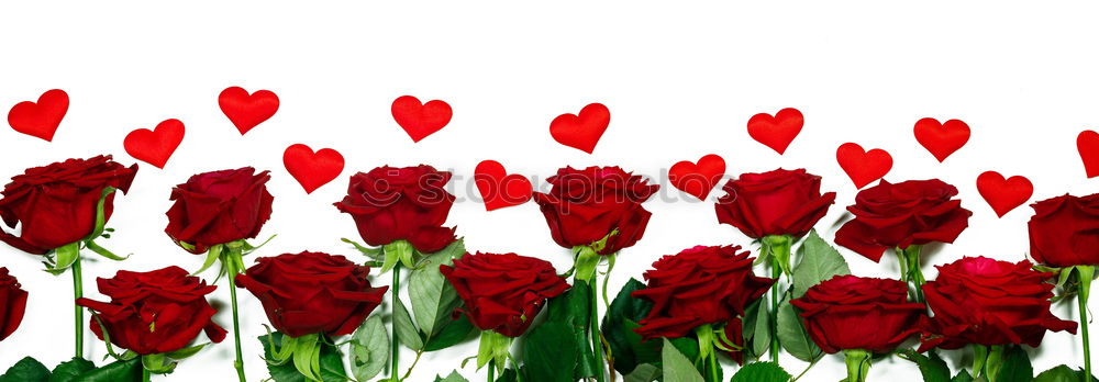 Similar – Image, Stock Photo Red flower rain Hand