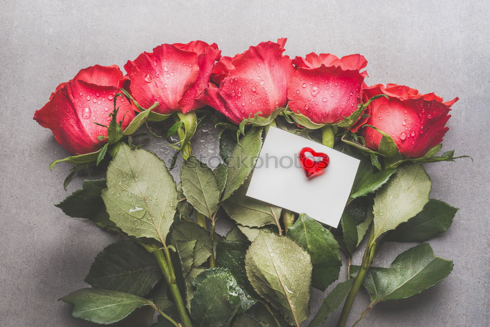 Similar – Image, Stock Photo Valentine’s Day Card mock up