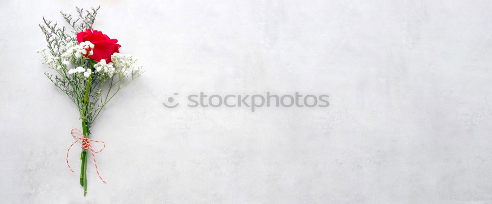 Similar – Image, Stock Photo whitewall attire