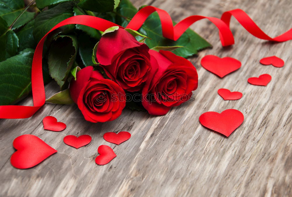 Similar – Background with red roses petals and hearts