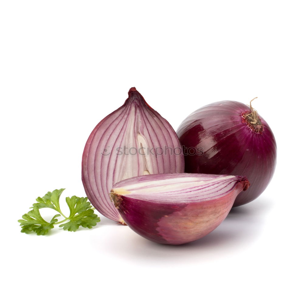 Similar – garlic Food