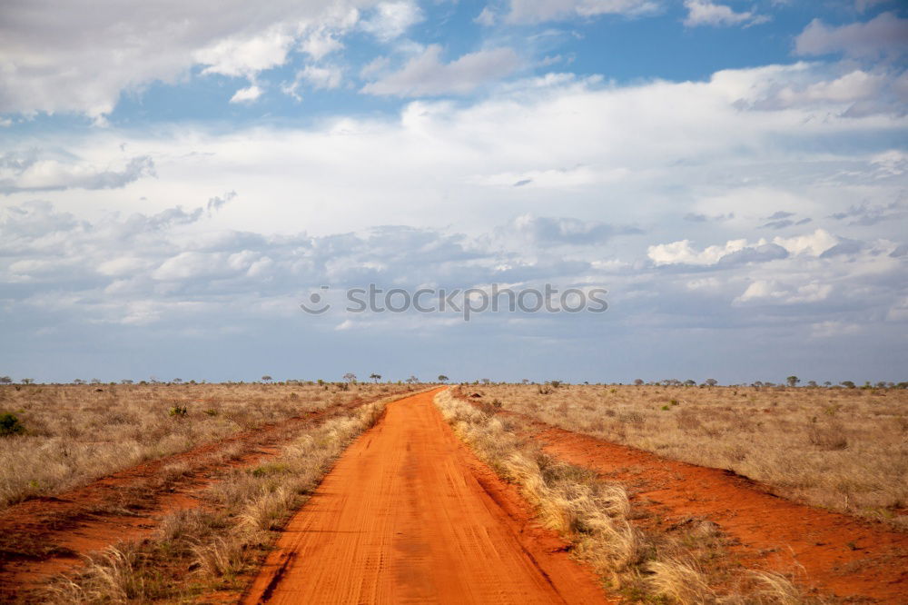 Similar – 50 kilometres straight ahead