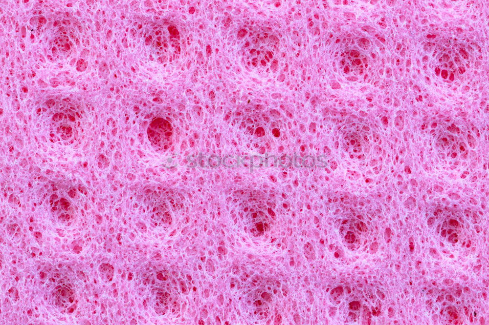 Similar – PINk Colour photo Close-up