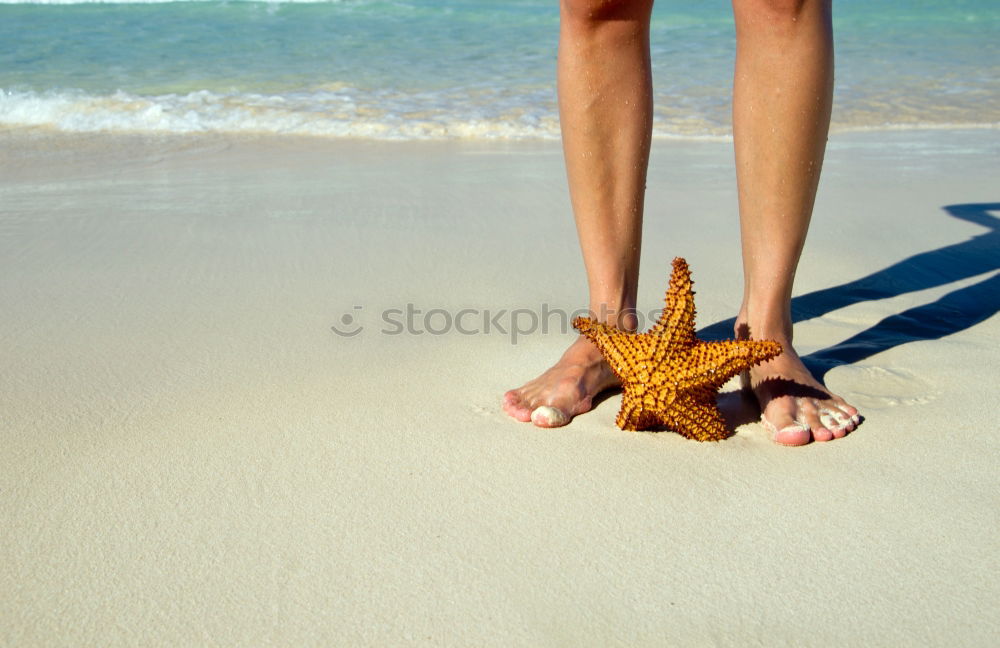 Similar – starfish Starfish Feet