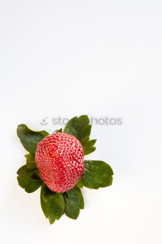 Strawberries I Food Fruit