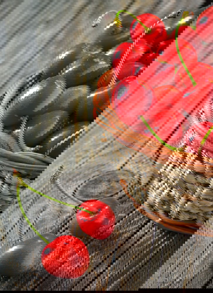Similar – Image, Stock Photo Radish on dark background