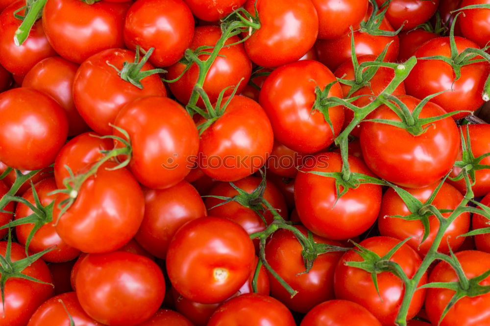 Similar – Background with fresh red tomatos