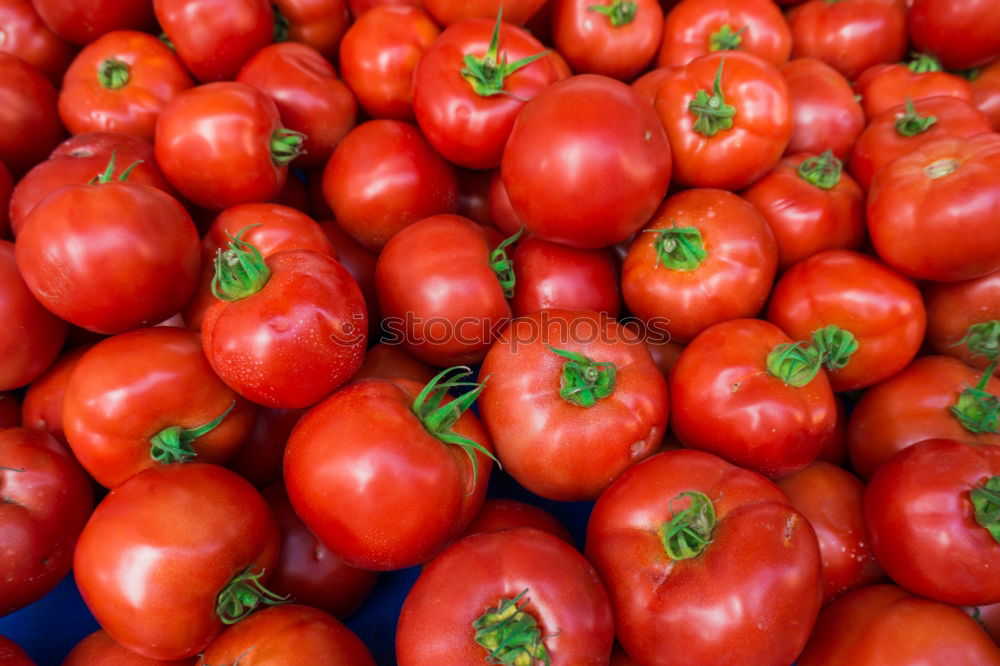 Similar – Background with fresh red tomatos