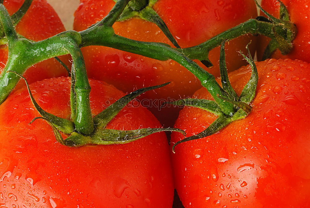 Similar – tomatoes Packaging Cooking