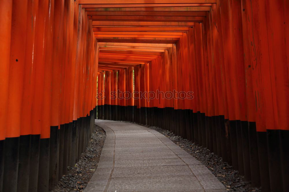 Image, Stock Photo Fushimi-Inari Shrine Kyoto