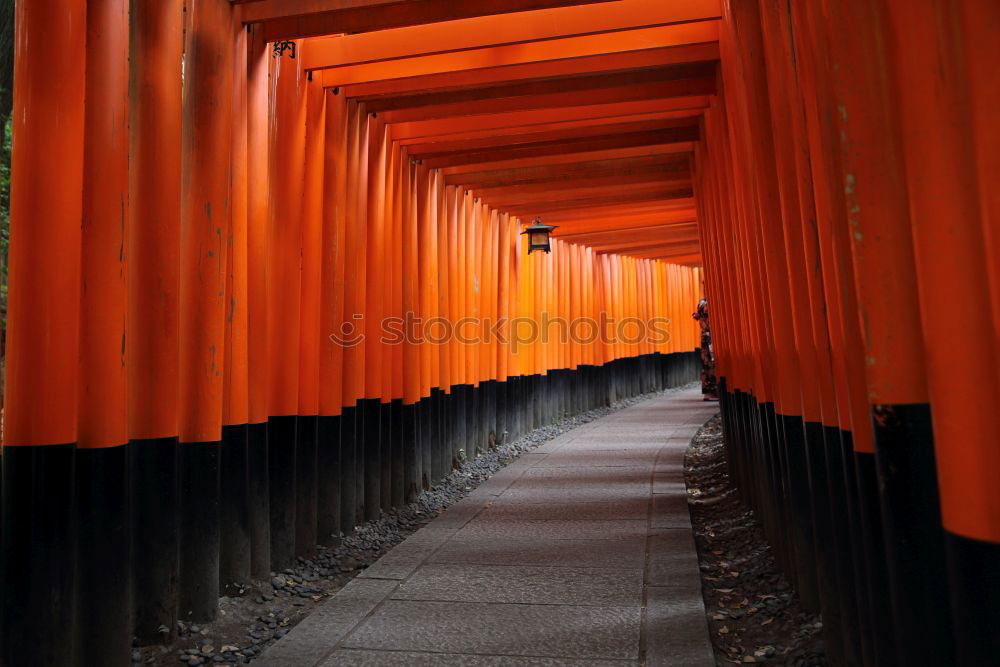 Similar – Image, Stock Photo Fushimi-Inari Shrine Kyoto