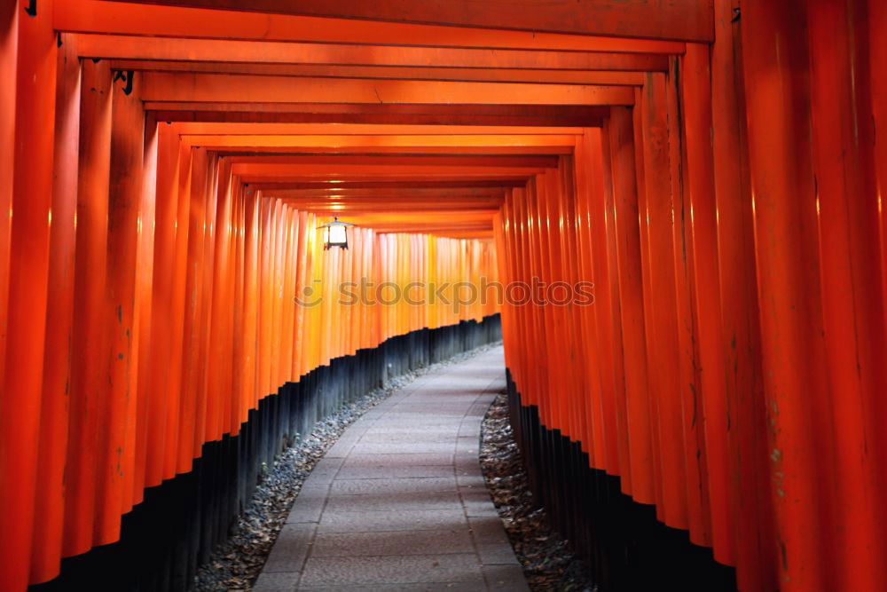 Similar – Image, Stock Photo Fushimi-Inari Shrine Kyoto