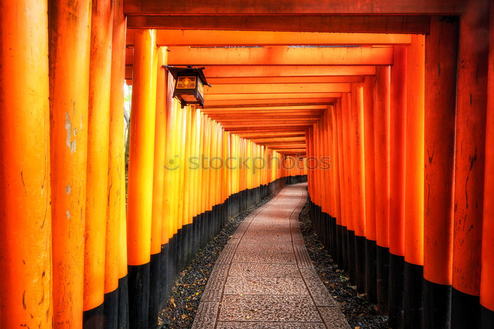 Similar – Image, Stock Photo Fushimi-Inari Shrine Kyoto