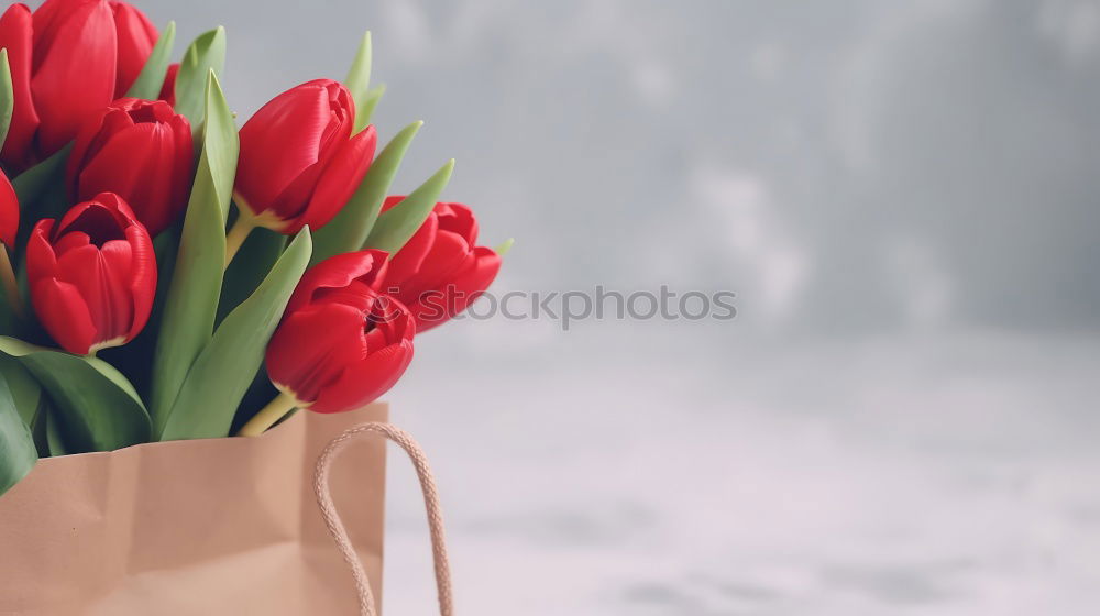 Similar – Image, Stock Photo Shopping bag with beautiful tulips