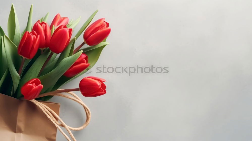 Similar – Red Tulips Bouquet On Wood Table