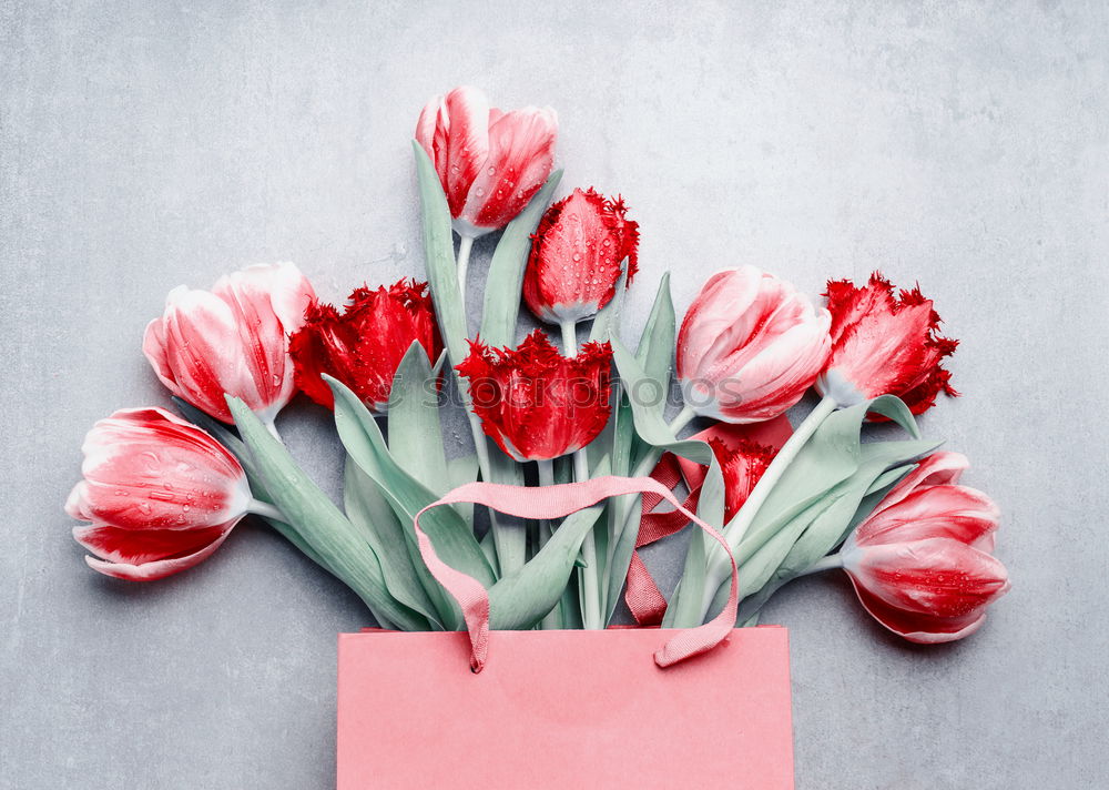 Image, Stock Photo Shopping bag with beautiful tulips