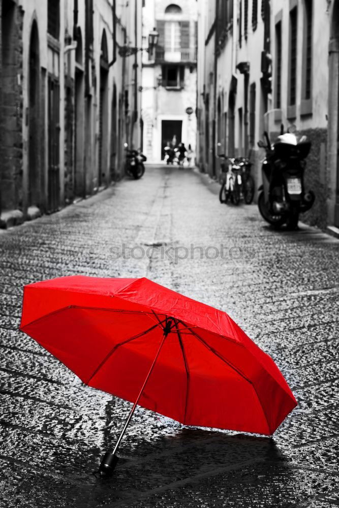 Similar – Rain in London Umbrella