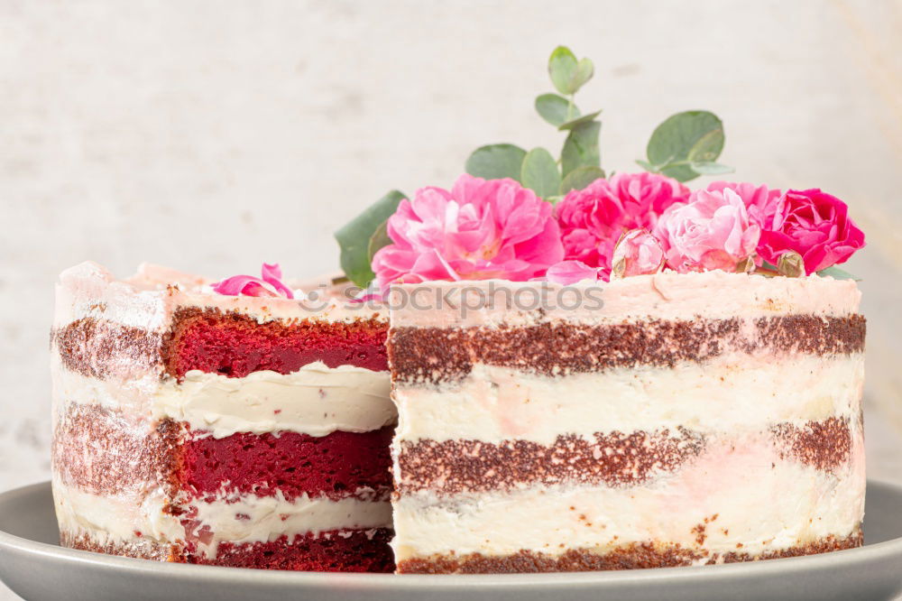 Similar – Image, Stock Photo flower cake R Food Cake